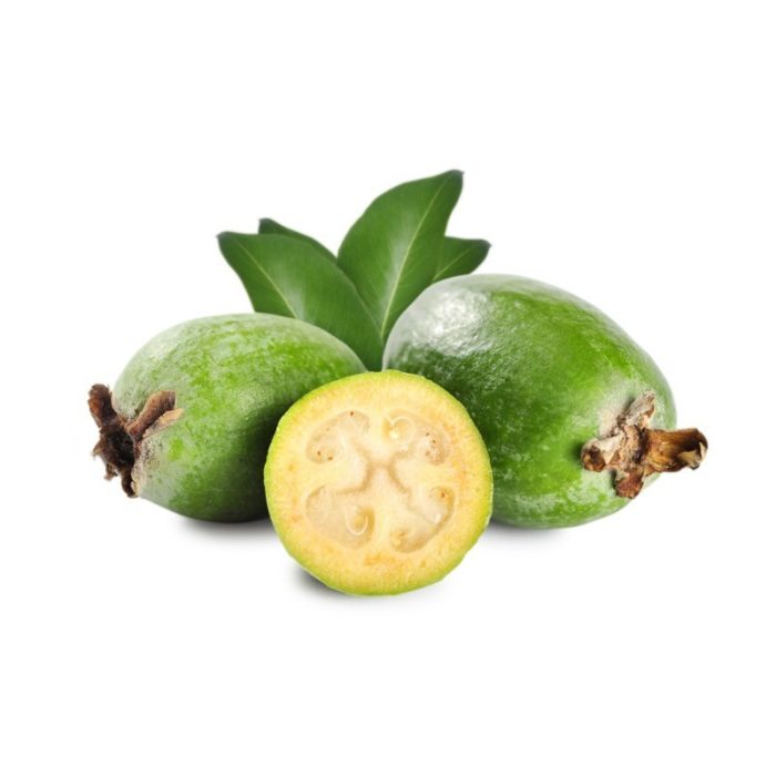 Feijoa