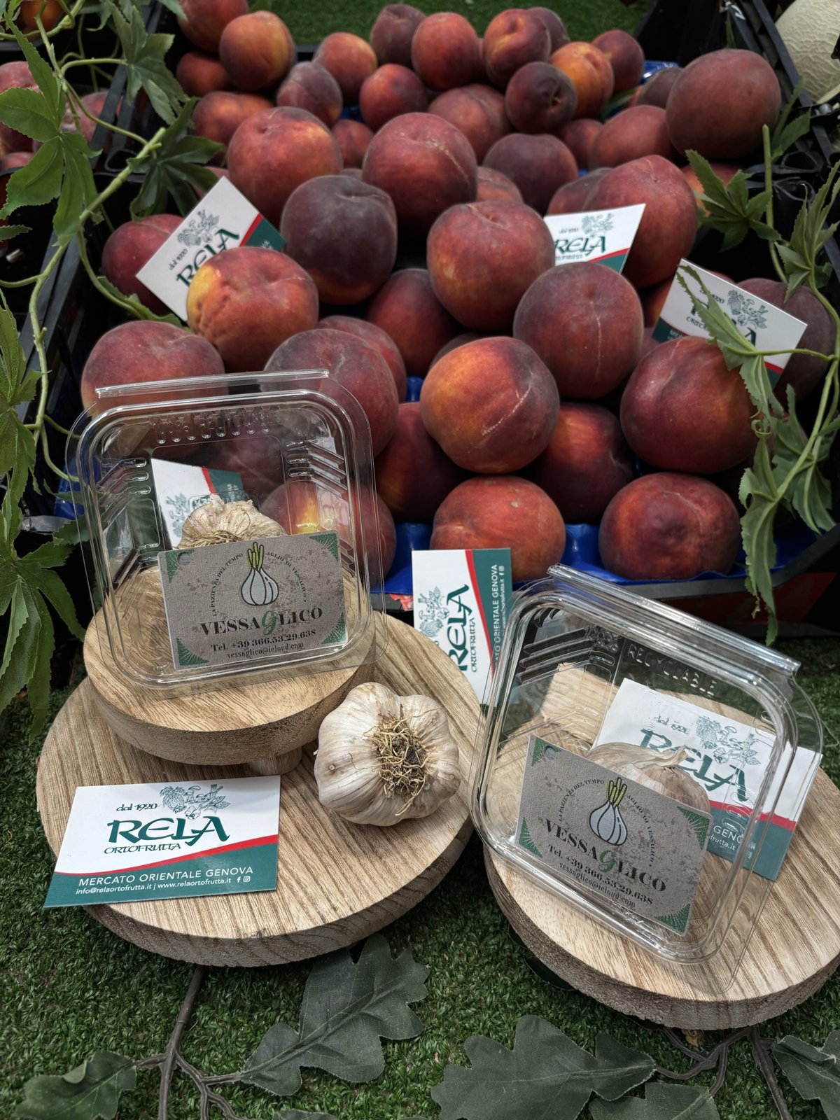 Aglio di Vessalico – Rela Ortofrutta