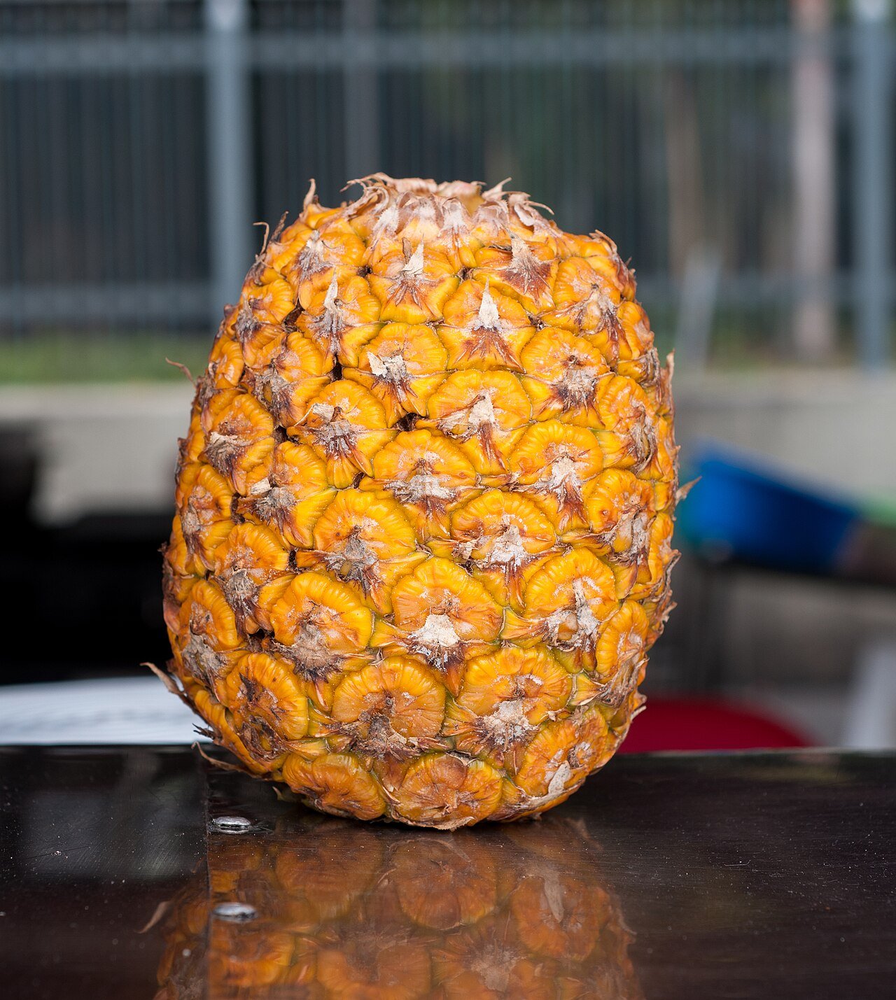 Ananas via aerea