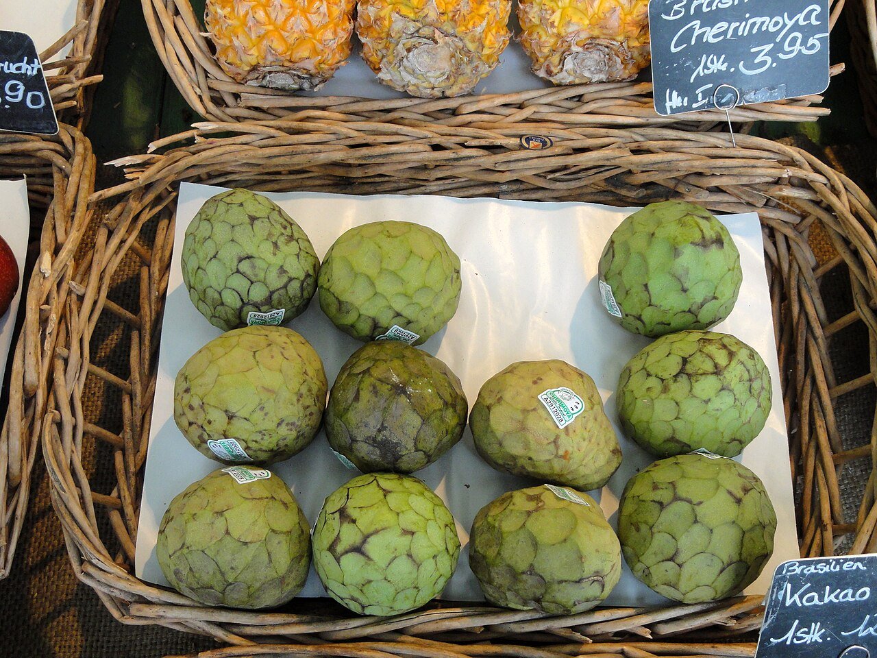 Annona cherimola