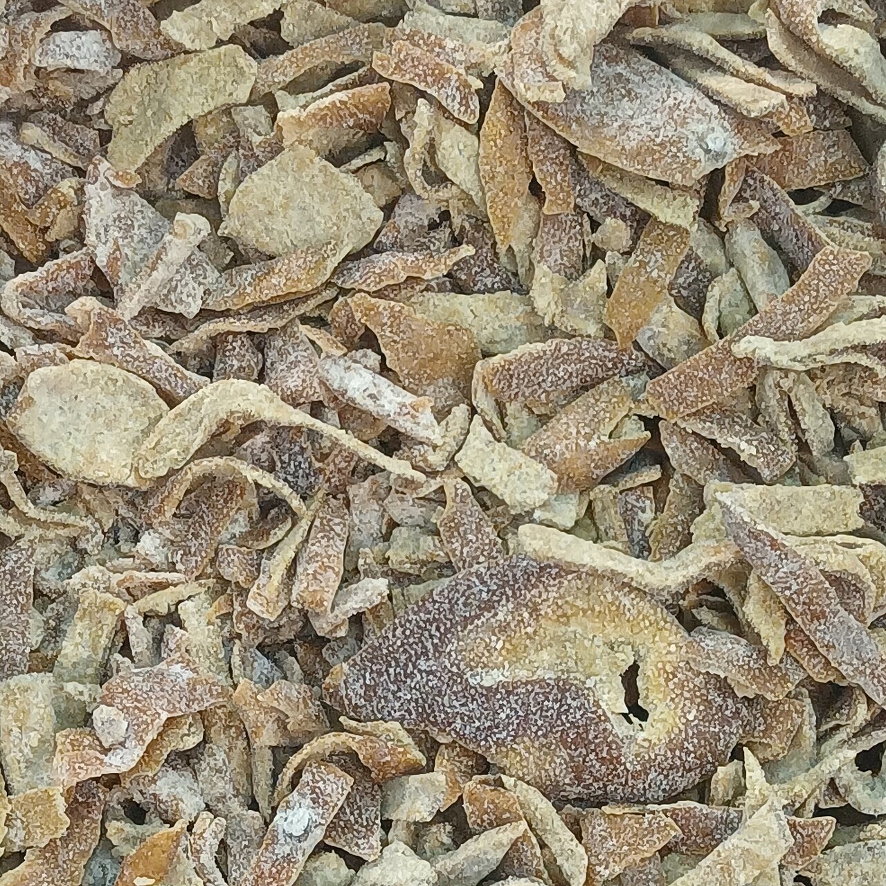 Scorze di arancia essiccate