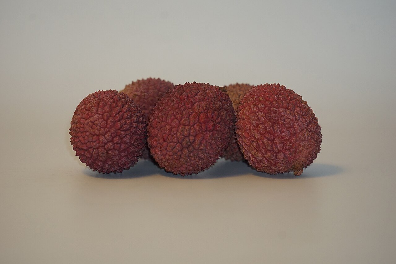 Litchi